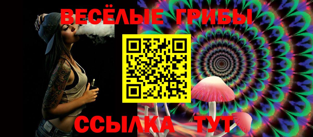 Псилоцибиновые грибы Cubensis Иркутск
