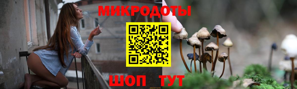 Псилоцибиновые грибы Psilocybe  Вход с VPN  купить наркотики цена  Иркутск 